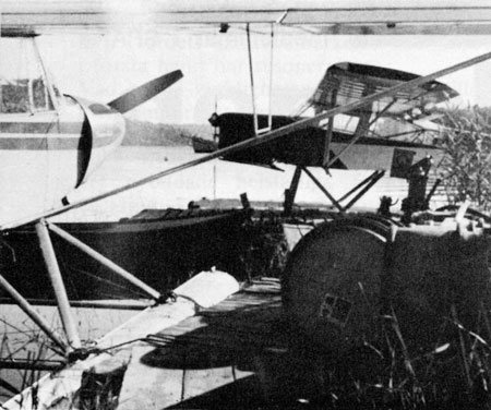 Cub o Beagle i Dans flyghamn