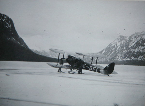 SE-BFI_vid_branta_berg