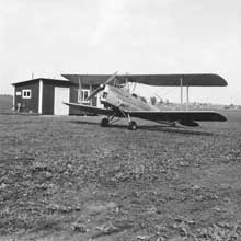 SE-COL_i_graset_1962