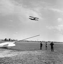 SE-COL_slapper_linan