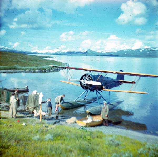 Fiskflygs Osprey i fj�llen